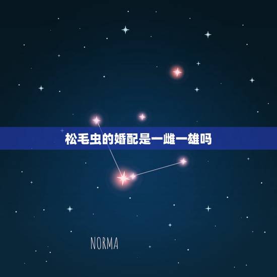 松毛虫的婚配是一雌一雄吗,松毛虫应该要怎样防治? 松毛虫的婚配是一雌一雄吗,松毛虫应该要怎样防治?