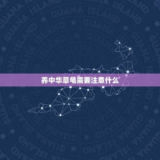 养中华草龟需要注意什么,中华草龟要怎么养? 养中华草龟需要注意什么,中华草龟要怎么养?