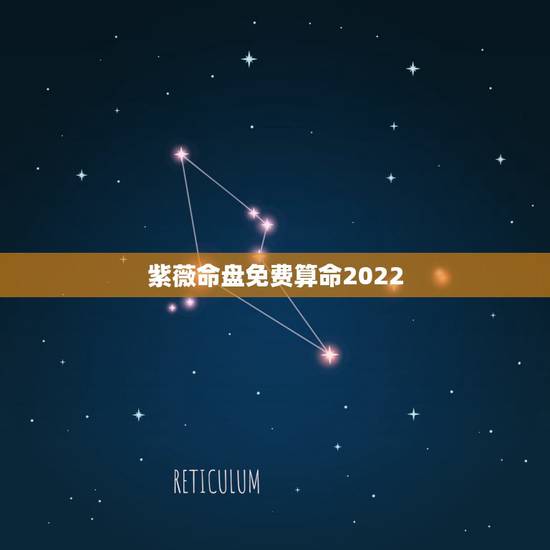紫薇命盘免费算命2022 紫薇命盘免费 紫薇命盘免费算命2022 紫薇命盘免费