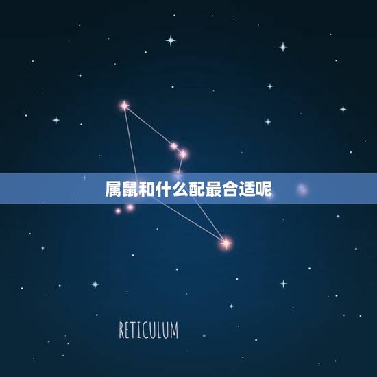 属鼠和什么配最合适呢,属鼠的佩戴什么玉好 属鼠和什么配最合适呢,属鼠的佩戴什么玉好