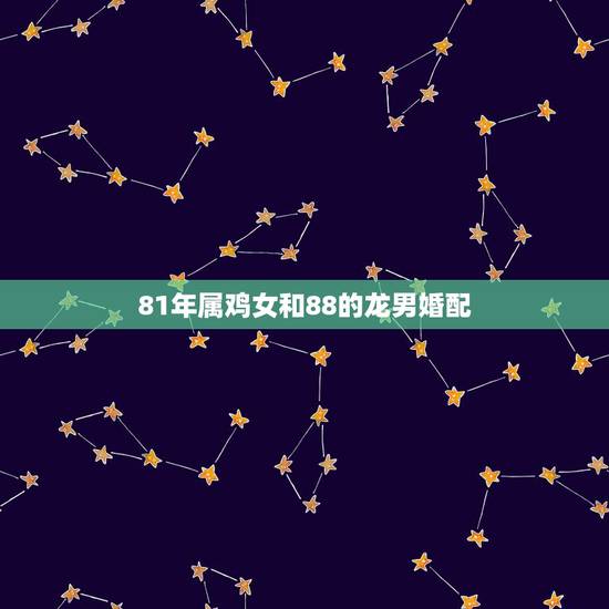 81年属鸡女和88的龙男婚配，81年属鸡男和88年属龙女婚姻怎样。