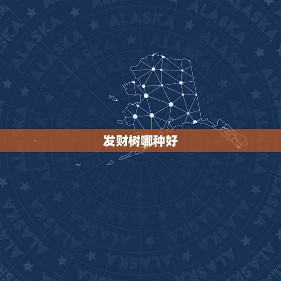 发财树哪种好,辫子发财树和独杆发财树哪种更好点 发财树哪种好,辫子发财树和独杆发财树哪种更好点