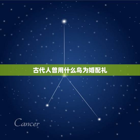 古代人曾用什么鸟为婚配礼,鸟和隹在古代都表示什么 古代人曾用什么鸟为婚配礼,鸟和隹在古代都表示什么