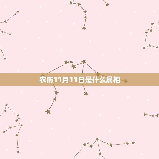 农历11月11日是什么属相,1998年农历11月11日出生的人是什么星 农历11月11日是什么属相,1998年农历11月11日出生的人是什么星