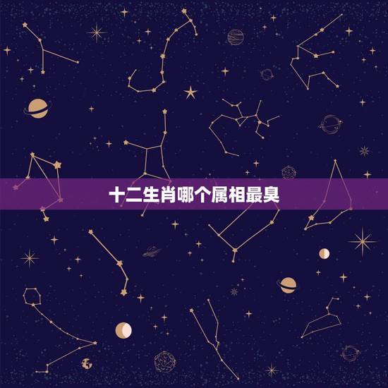 十二生肖哪个属相最臭，十二生肖中那个动物最臭名远扬啊？