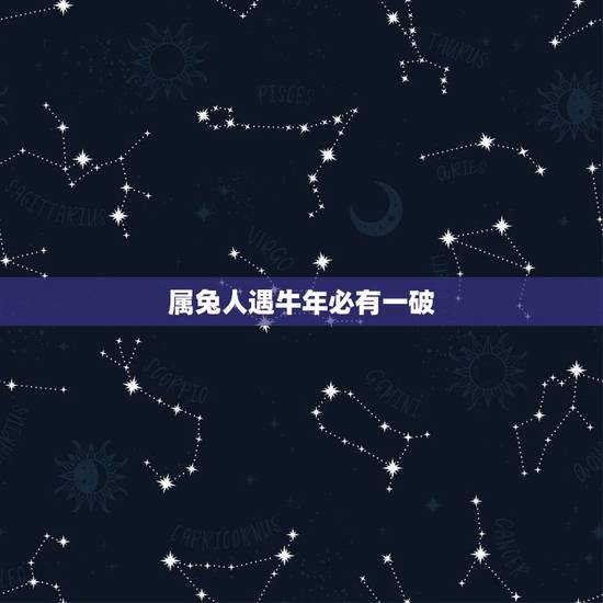 属兔人遇牛年必有一破，属兔人2022年运势运程