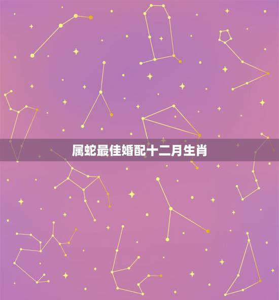 属蛇最佳婚配十二月生肖,男属蛇十二月出生和什么属相可以婚配 属蛇最佳婚配十二月生肖,男属蛇十二月出生和什么属相可以婚配