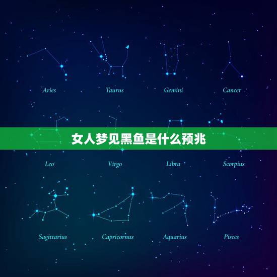 女人梦见黑鱼是什么预兆,梦见黑鱼 女人梦见黑鱼是什么预兆,梦见黑鱼