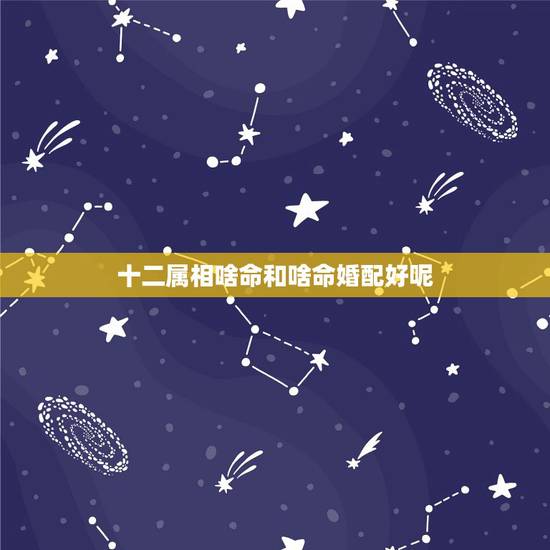 十二属相啥命和啥命婚配好呢,1982年属狗的男生和什么属相最配 十二属相啥命和啥命婚配好呢,1982年属狗的男生和什么属相最配
