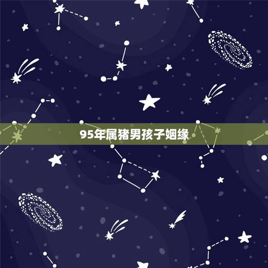 95年属猪男孩子姻缘，95年猪男的婚姻怎么样
