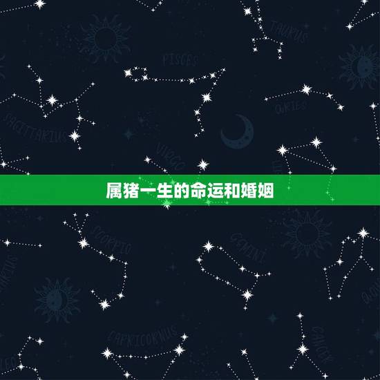 属猪一生的命运和婚姻,猪的真命贵人2022 年 属猪一生的命运和婚姻,猪的真命贵人2022 年