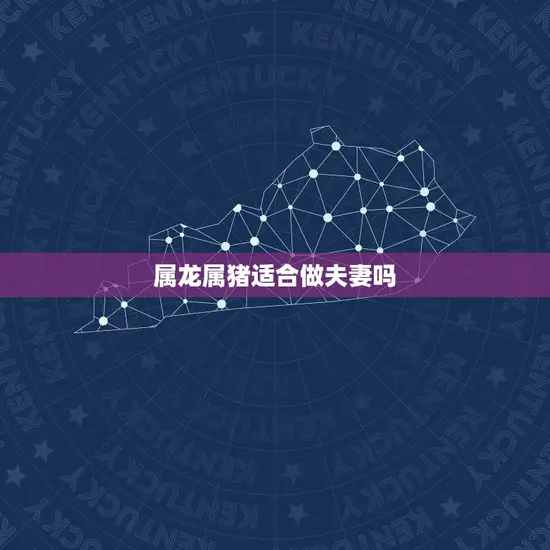 属龙属猪适合做夫妻吗