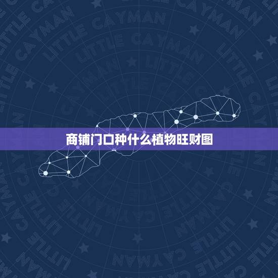 商铺门口种什么植物旺财图,店铺门口摆放什植物旺财? 商铺门口种什么植物旺财图,店铺门口摆放什植物旺财?