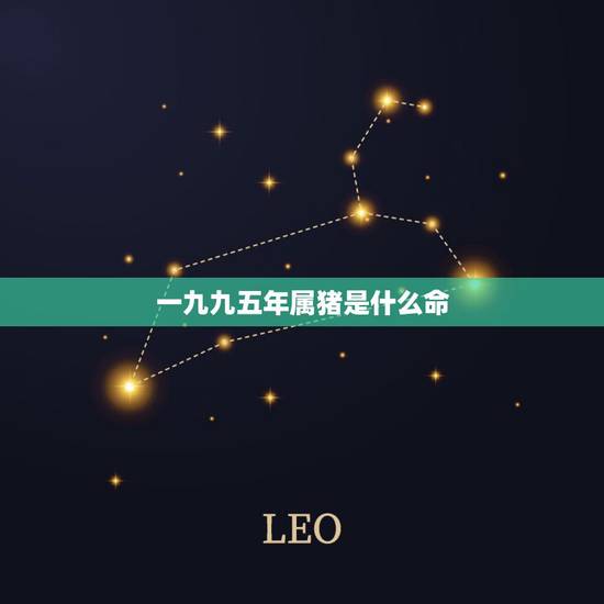 一九九五年属猪是什么命，九五年属猪男孩的婚姻