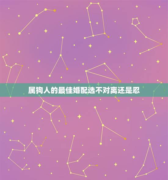 属狗人的最佳婚配选不对离还是忍,属相属狗的婚配什么属相最好 属狗人的最佳婚配选不对离还是忍,属相属狗的婚配什么属相最好