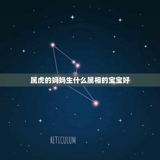属虎的妈妈生什么属相的宝宝好，父母属虎，刚生了个虎宝宝，再要个龙宝宝好