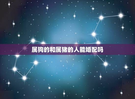属狗的和属猪的人能婚配吗,1971年属猪的人能和1994年属狗的婚配吗 属狗的和属猪的人能婚配吗,1971年属猪的人能和1994年属狗的婚配吗