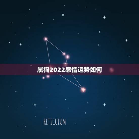 属狗2022感情运势如何，1994年属狗2022年运势如何？