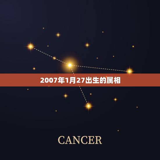2007年1月27出生的属相，2009年1月27日出生属什么生肖？