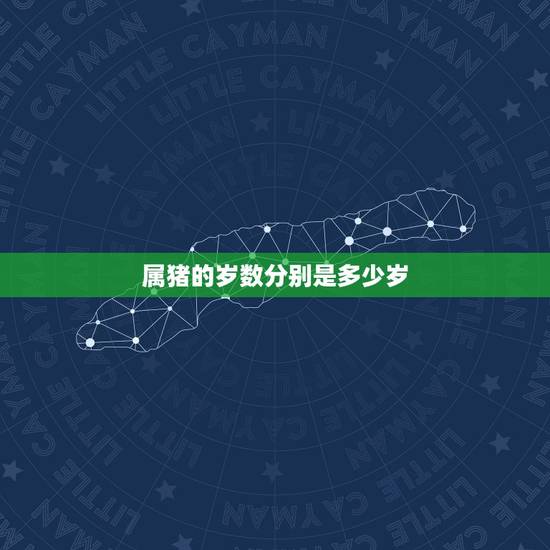 属猪的岁数分别是多少岁，属猪今年多大年纪