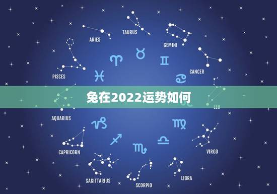 兔在2022运势如何，75年属兔47岁有一灾
