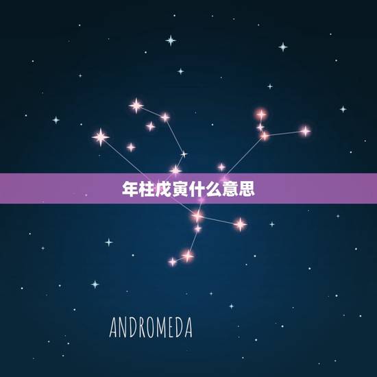 年柱戊寅什么意思,八字印星查询表 年柱戊寅什么意思,八字印星查询表