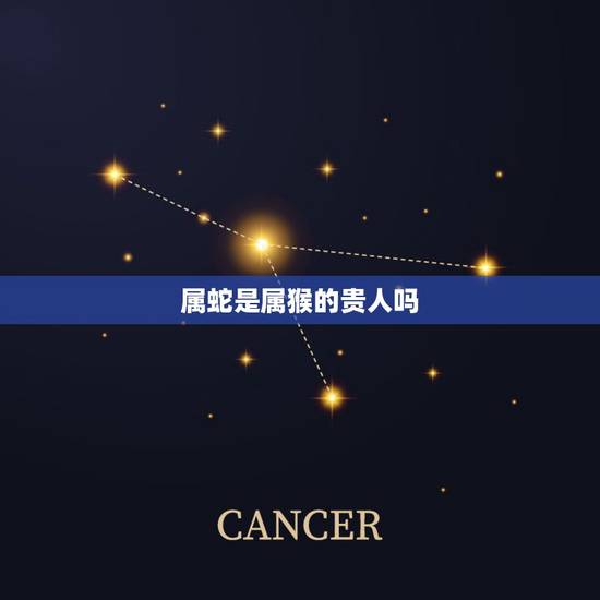 属蛇是属猴的贵人吗，属猴人的贵人生肖是谁