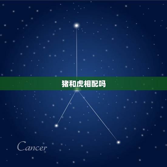 猪和虎相配吗,请问八三年的男,属猪和八六年的女,属虎相配吗 猪和虎相配吗,请问八三年的男,属猪和八六年的女,属虎相配吗