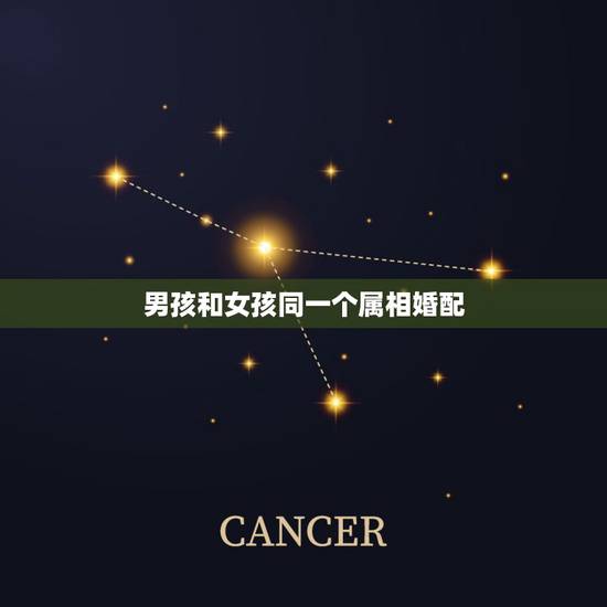 男孩和女孩同一个属相婚配,属相婚配:男属兔和女属牛相配吗 男孩和女孩同一个属相婚配,属相婚配:男属兔和女属牛相配吗