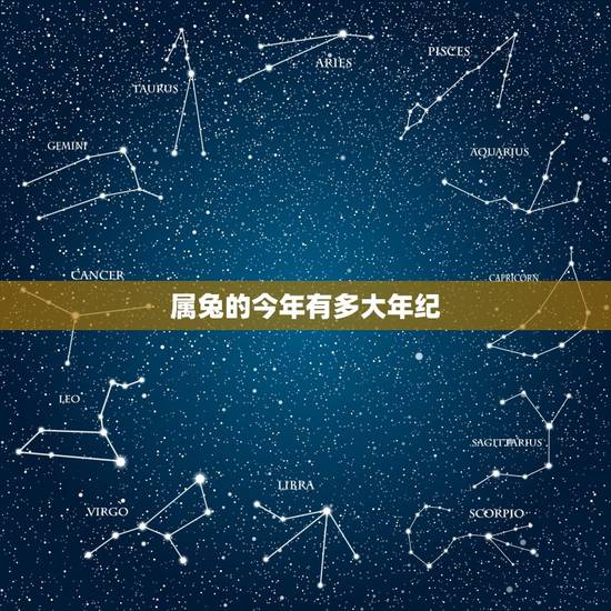 属兔的今年有多大年纪,属兔的年龄表2022 属兔的今年有多大年纪,属兔的年龄表2022