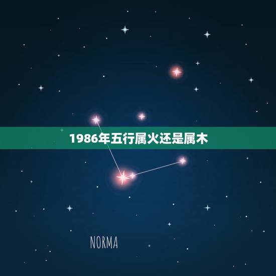 1986年五行属火还是属木,86年属虎的人财运方向 1986年五行属火还是属木,86年属虎的人财运方向