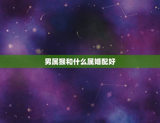 男属猴和什么属婚配好,男属猴是和什么属相最合适? 男属猴和什么属婚配好,男属猴是和什么属相最合适?