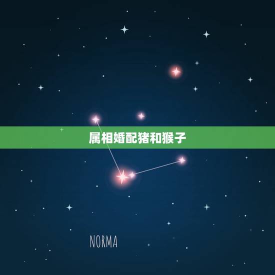 属相婚配猪和猴子,属猪的属相婚配表 属相婚配猪和猴子,属猪的属相婚配表