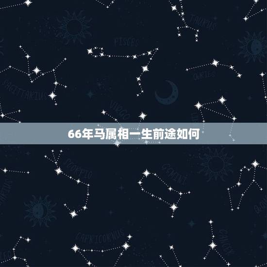 66年马属相一生前途如何，66年女人属马一生命运