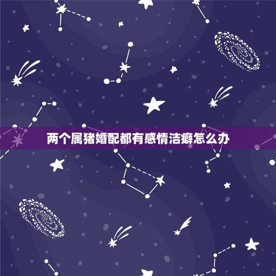 两个属猪婚配都有感情洁癖怎么办，属猪的年龄表