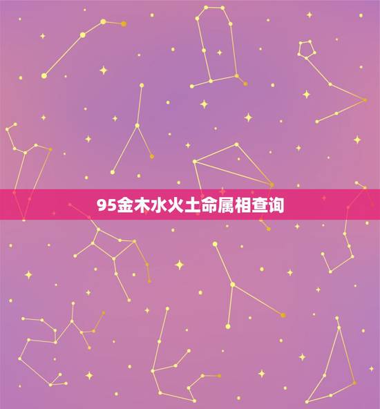 95金木水火土命属相查询,95年属猪的五行是什么,是什么命 95金木水火土命属相查询,95年属猪的五行是什么,是什么命