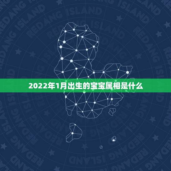 2022年1月出生的宝宝属相是什么,2021年1月份出生的宝宝是什么属 2022年1月出生的宝宝属相是什么,2021年1月份出生的宝宝是什么属