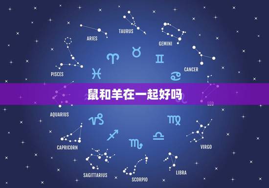 鼠和羊在一起好吗,属羊属鼠一起做生意 鼠和羊在一起好吗,属羊属鼠一起做生意