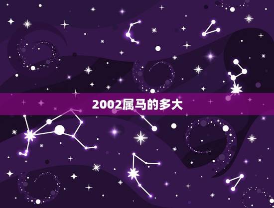 2002属马的多大，2004年今年多大