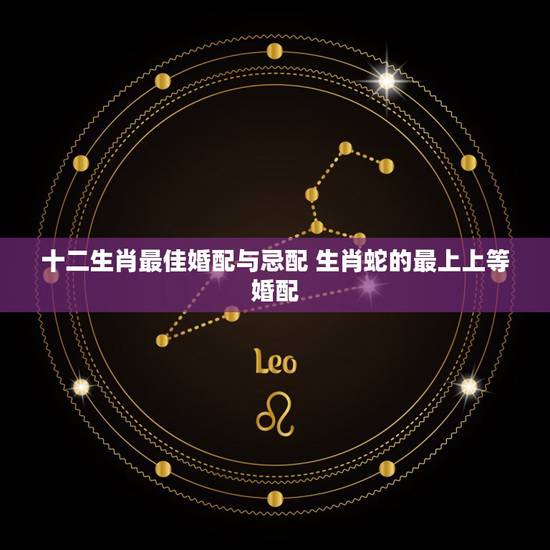 十二生肖最佳婚配与忌配 生肖蛇的最上上等婚配 十二生肖最佳婚配与忌配 生肖蛇的最上上等婚配