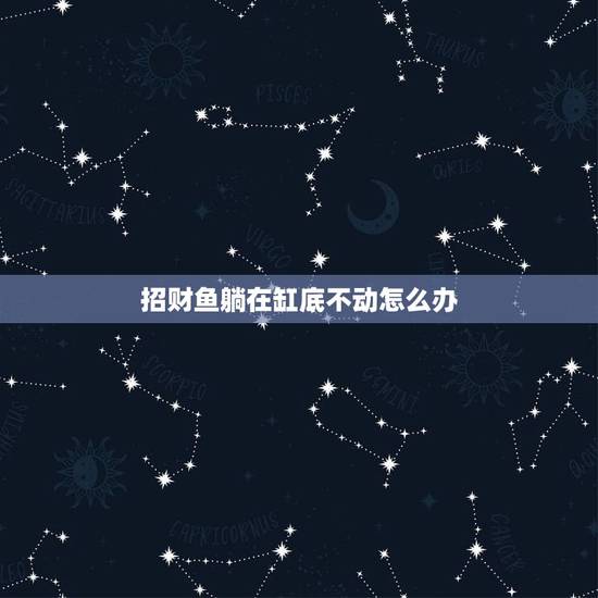 招财鱼躺在缸底不动怎么办，我家的招财鱼身上发紫.红.青，有腐烂症状，躺