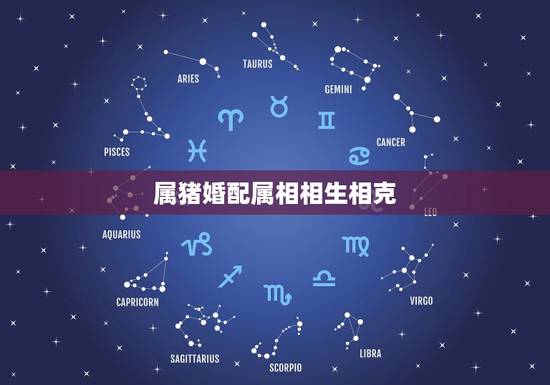 属猪婚配属相相生相克，属猪女和什么属相男是上等婚姻