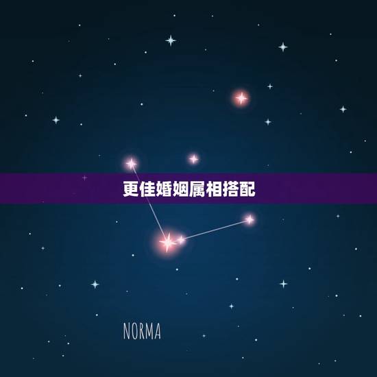 更佳婚姻属相搭配，婚配生肖配对查询