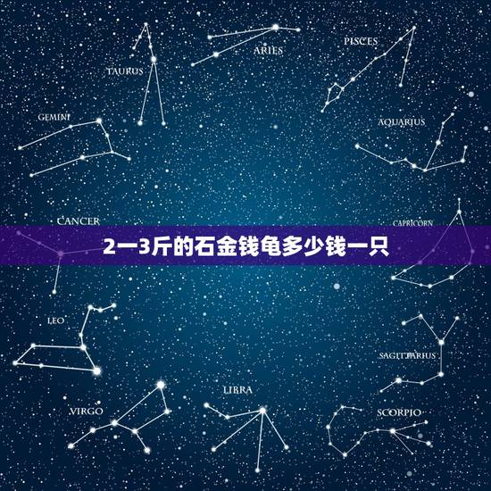 2一3斤的石金钱龟多少钱一只,南石龟大约三斤值多少钱 2一3斤的石金钱龟多少钱一只,南石龟大约三斤值多少钱