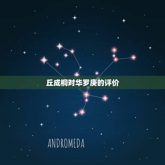 丘成桐对华罗庚的评价，华罗庚的社会评价