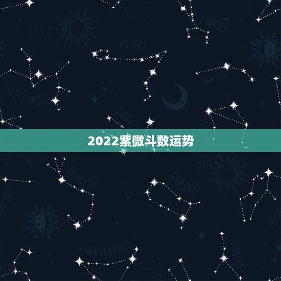 2022紫微斗数运势,2022年流年运势分析张盛舒 2022紫微斗数运势,2022年流年运势分析张盛舒