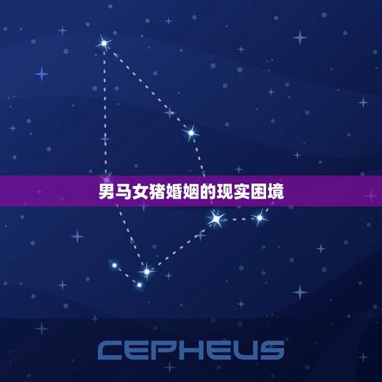 男马女猪婚姻的现实困境 男马女猪婚姻的现实困境