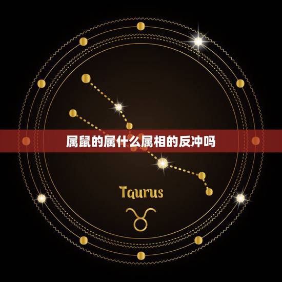 属鼠的属什么属相的反冲吗，属鼠和什么属相相克