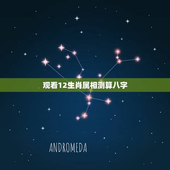 观看12生肖属相测算八字,2012年新版本易经12生肖书,测人的八字和 观看12生肖属相测算八字,2012年新版本易经12生肖书,测人的八字和