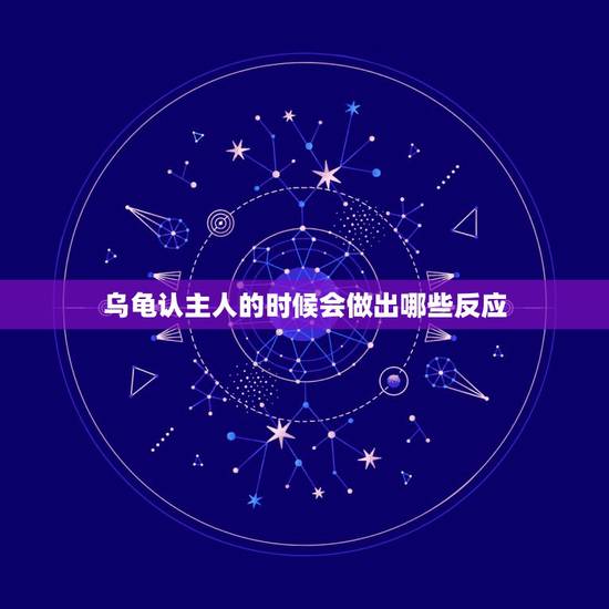乌龟认主人的时候会做出哪些反应，乌龟怎么抚养它，它才会和主人亲密